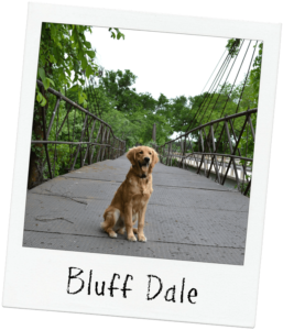 Bluff Dale | Daffan Cooling & Heating