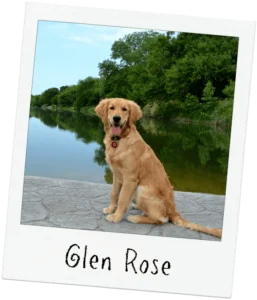 Glen Rose | Daffan Cooling & Heating