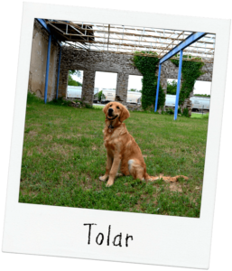 Tolar