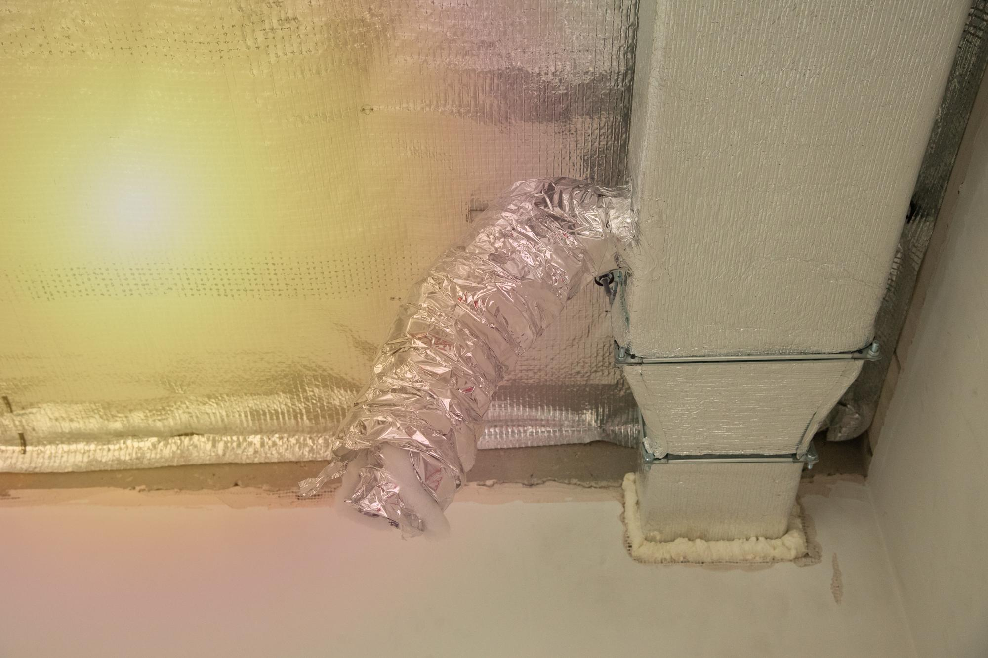 mold growth